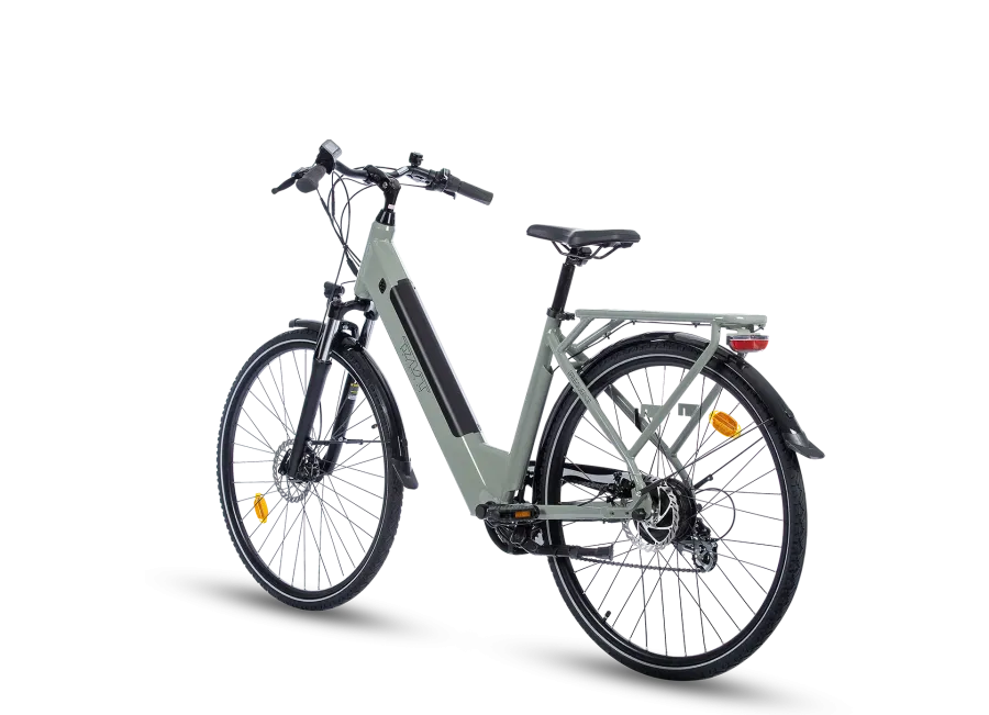 FREQUENCE BICICLETTA ELETTRICA