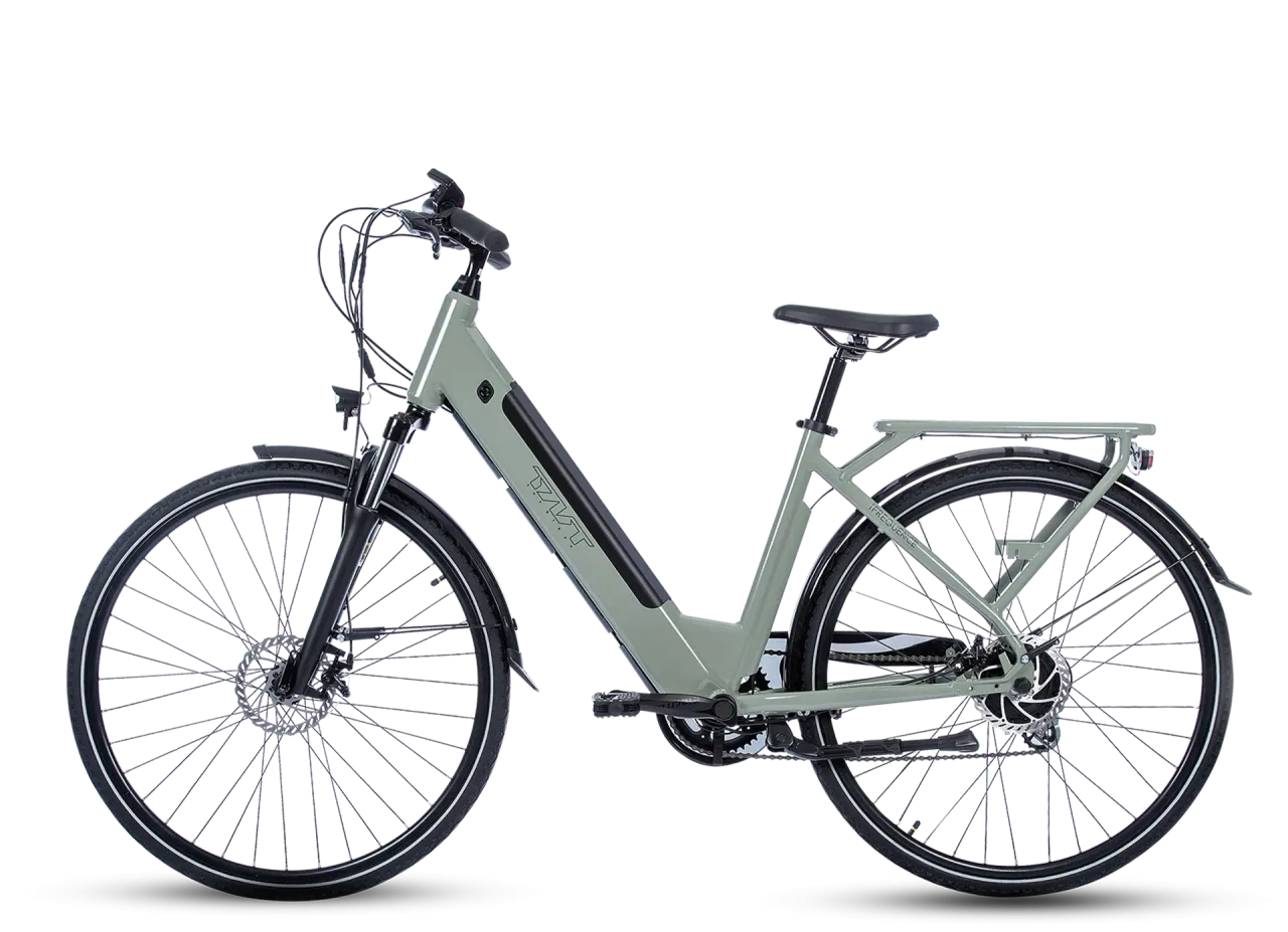 FREQUENCE BICICLETTA ELETTRICA