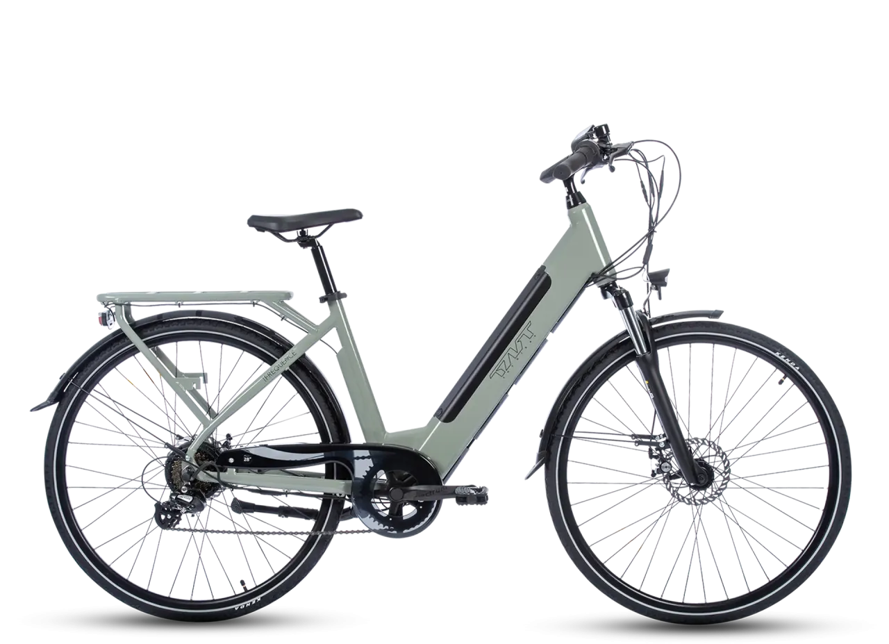 FREQUENCE BICICLETTA ELETTRICA