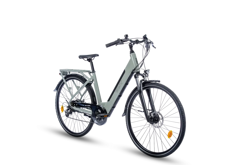 FREQUENCE BICICLETTA ELETTRICA