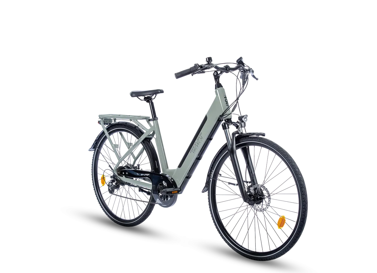 FREQUENCE BICICLETTA ELETTRICA
