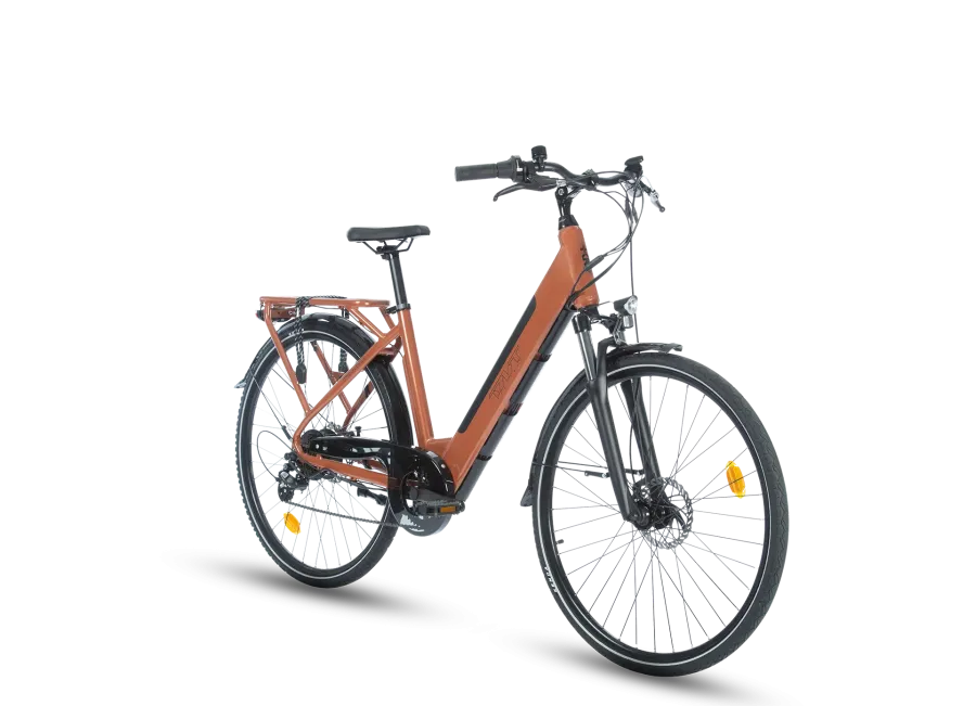 FREQUENCE BICICLETTA ELETTRICA