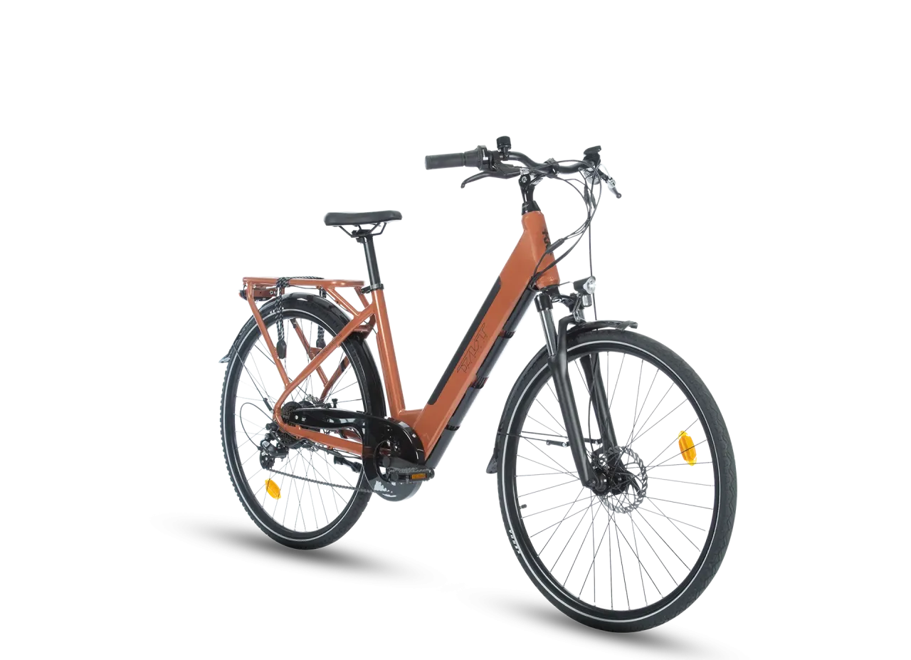 FREQUENCE BICICLETTA ELETTRICA