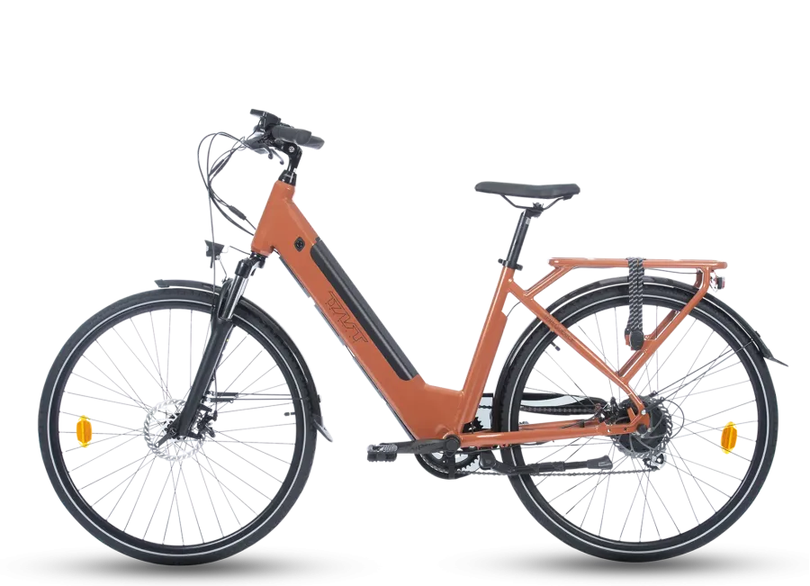 FREQUENCE BICICLETTA ELETTRICA