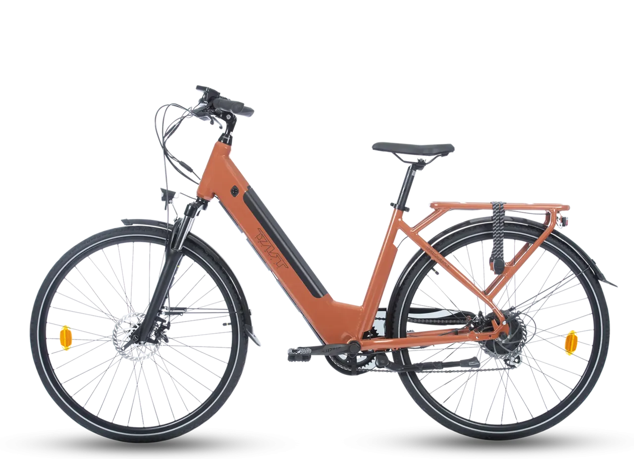 FREQUENCE BICICLETTA ELETTRICA