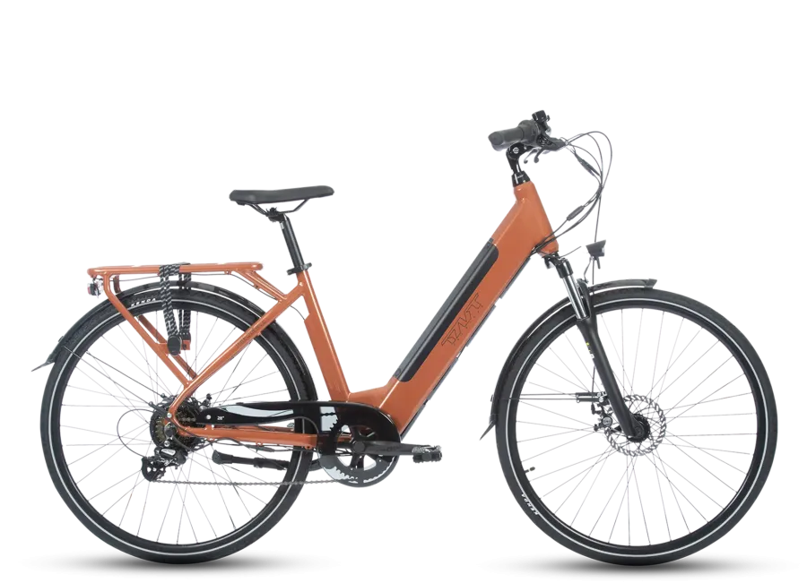 FREQUENCE BICICLETTA ELETTRICA