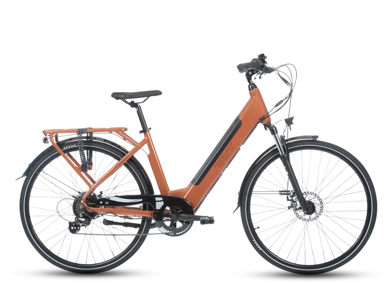 FREQUENCE BICICLETTA ELETTRICA