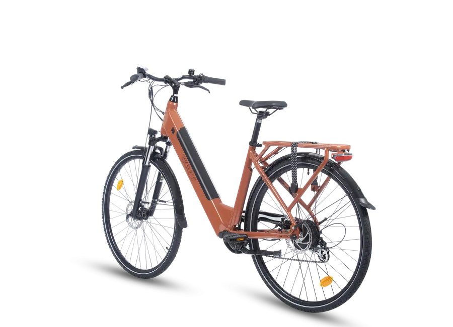 FREQUENCE BICICLETTA ELETTRICA
