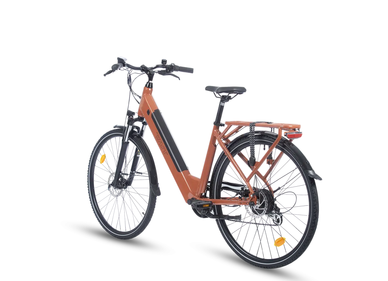 FREQUENCE BICICLETTA ELETTRICA